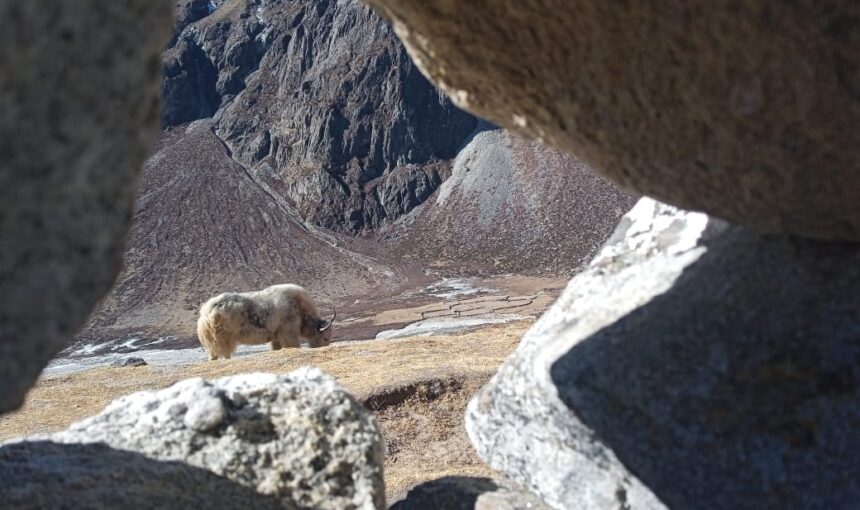 Top 5 Treks in Nepal Beyond Everest—Find Your Perfect Adventure